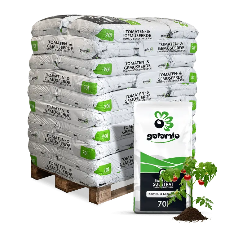 fiche-03efd3b78c305a4439a2.webp Galamio Gartenerde Torfhaltig 70 l x 30 Sack – Bild 1